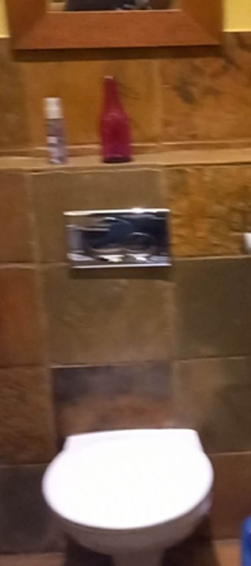 10 Bedroom Property for Sale in Hoekwil Western Cape